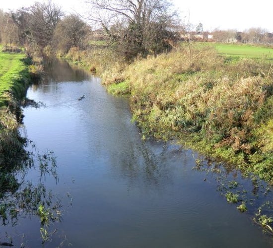 Construction company fined for waterway pollution
