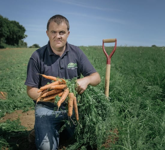 Kilkenny family grows carrots business