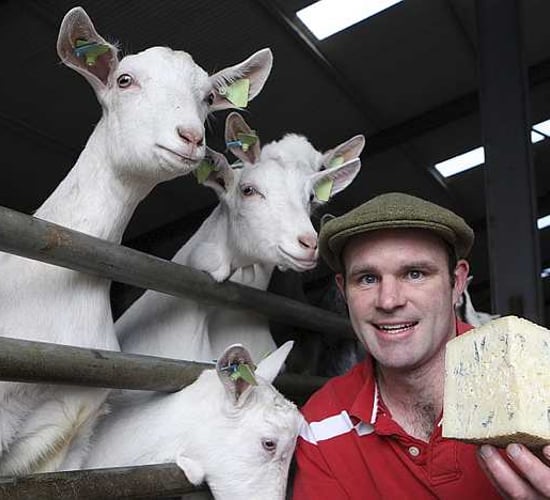 Awards roll in for Meath farmer's cheese enterprise