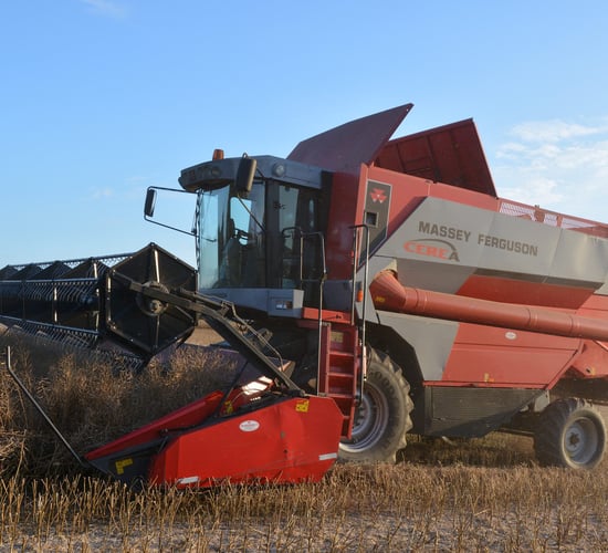 €380/t oilseed rape contract available for harvest 2018