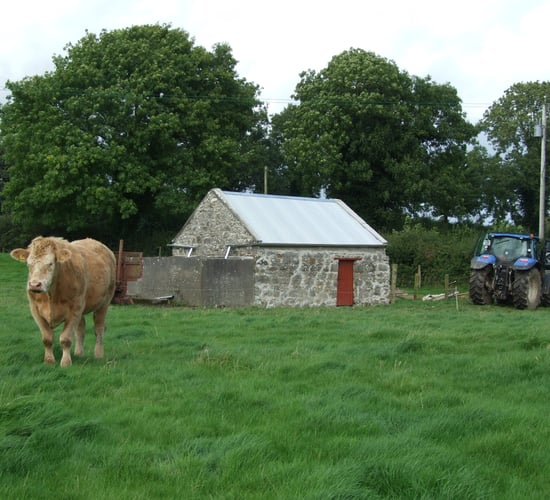 Heritage Week events for Irish farms