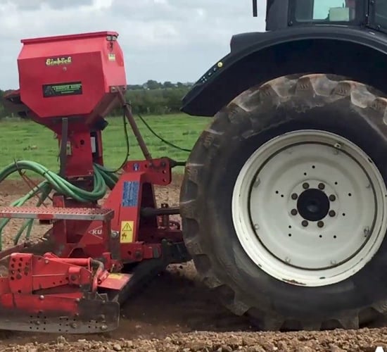 Video: Reseeding under the microscope in Mayo