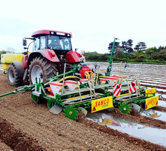 Popularity of maize as a buffer feed on the increase