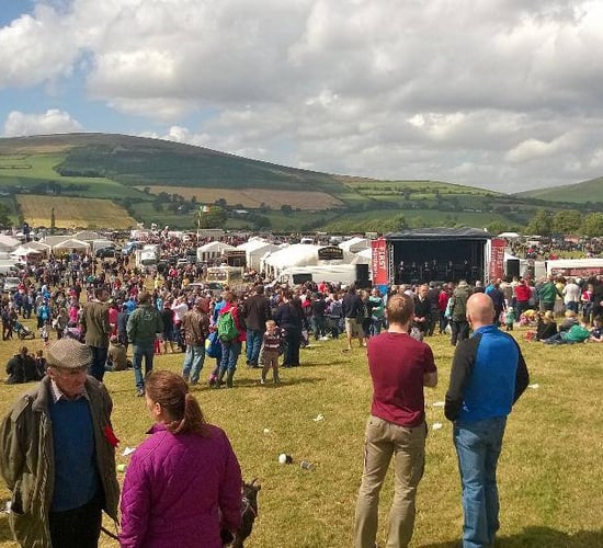 Tinahely Show hosts 82nd event tomorrow