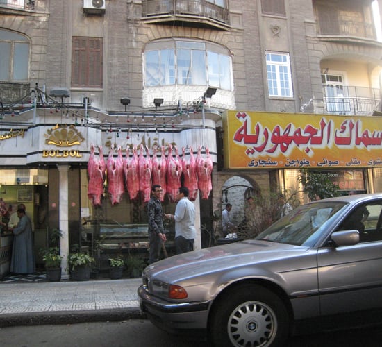 Rebound forecast for Egyptian beef consumption