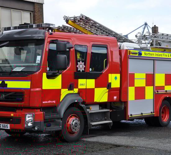 Four cattle rescued from slurry tank in south Armagh