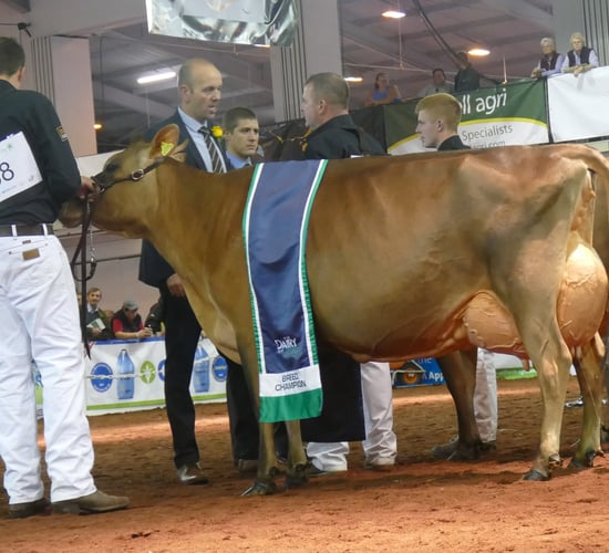 Harp hits the right notes at UK Dairy Day