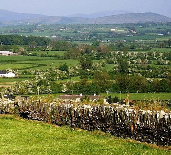 City farmers affected by increased recreational use of Dublin Mountains