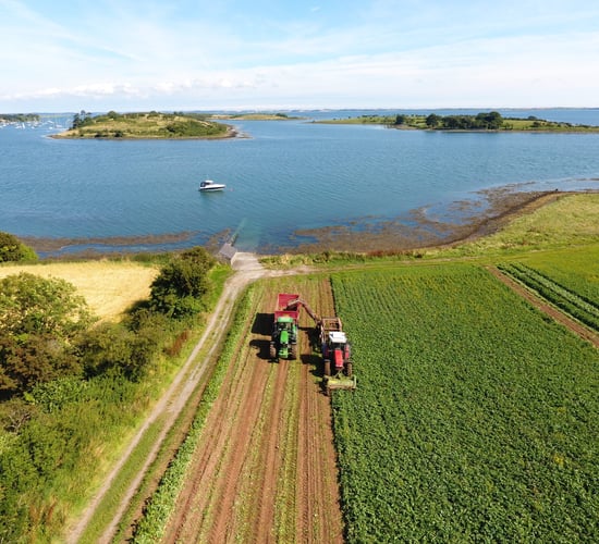 Bracing for Brexit: Innovative veg exporter details plans