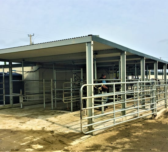 What does a €2,600/cow investment get you on a greenfield site?