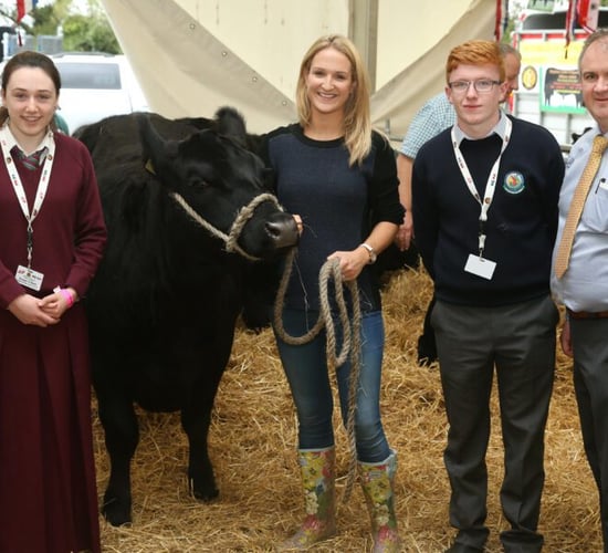 Applications now welcome to Irish Angus schools competition