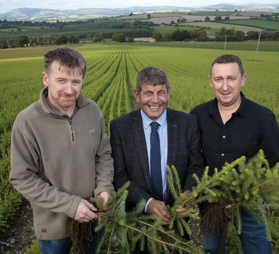 'Complementary activity': Farmers encouraged to consider forestry