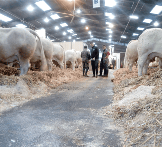Irish agri-tech companies showcase to over 100,000 visitors in France