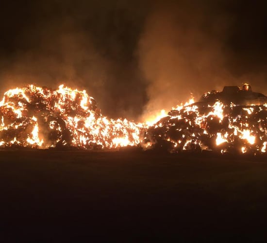 Forest fire warning - 'need for vigilance cannot be overstated'