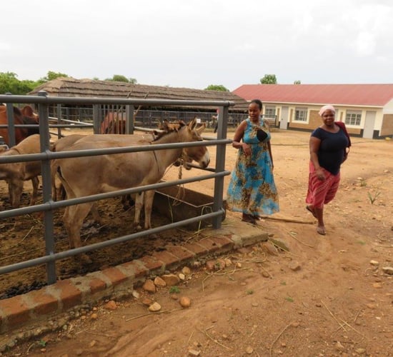 Mountbellew Franciscans appeal for agricultural equipment