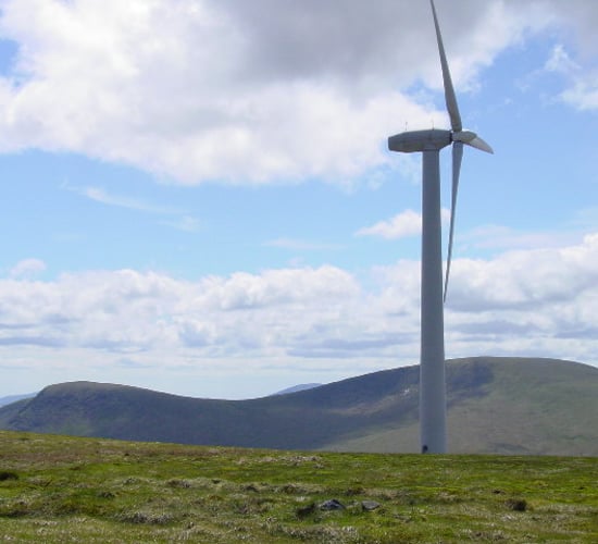Galway farmer moves from dry stock to plant-based enterprise