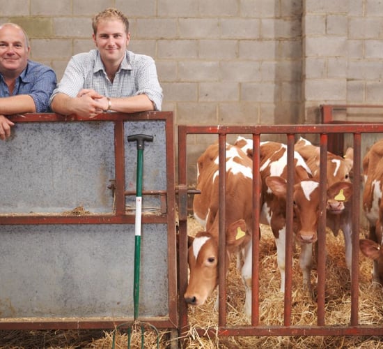 Having trouble with calf pneumonia on your farm?