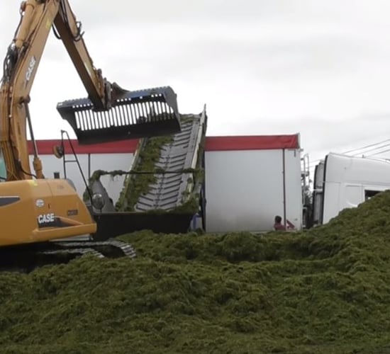 Video: 'Elevating' the 2017 silage season to a whole new level