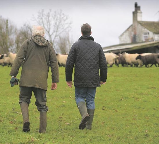 'Failure to address succession can threaten future viability of farms'