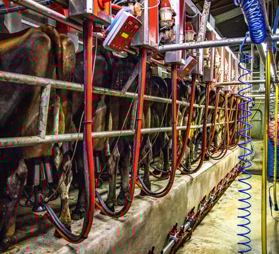 So what is the milking system that best meets your needs for the future?