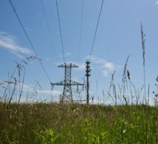 Landowners said to be missing out on electricity line compensation