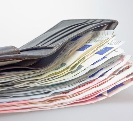 Owner of wallet lost at 'Ploughing' 2017 asked to come forward