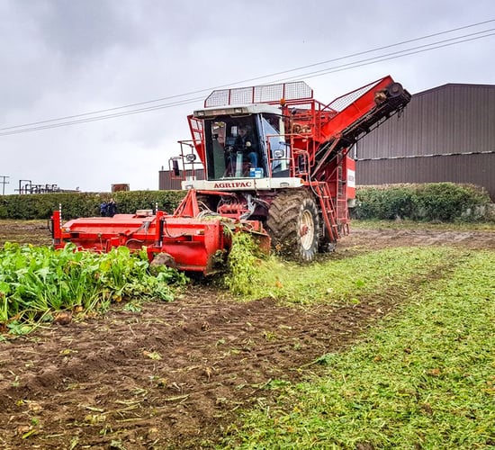 For sale: Ireland's most famous self-propelled beet harvester