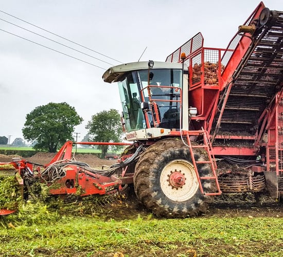Video: Machinery punters 'beet' a path to working demo