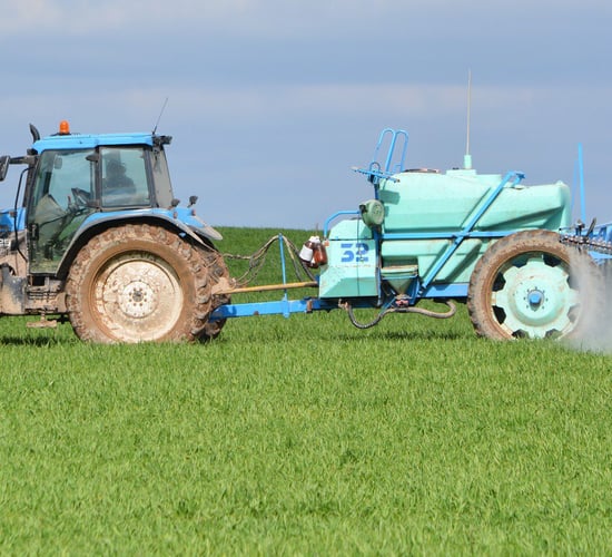 Tillage management: How can you control BYDV and aphids?