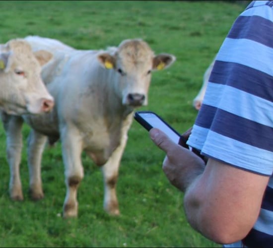 Take the paperwork out of farming with this prize from AgriNet