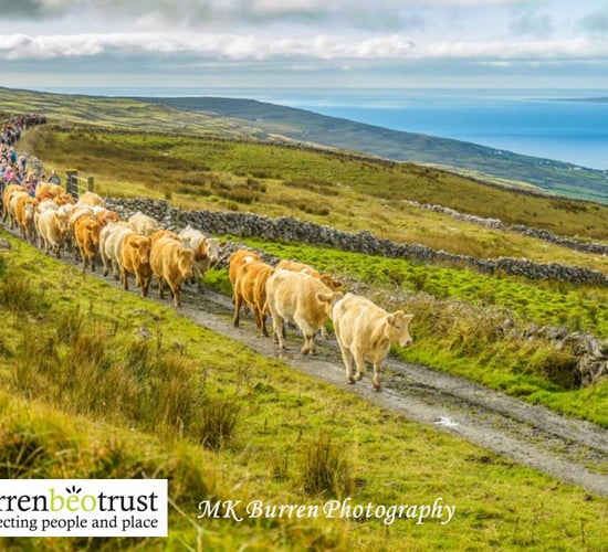Burren Winterage hosts National Farming for Nature Award