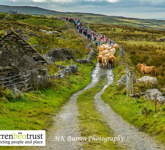 Burren farmer to lead Winterage Community Cattle Drive