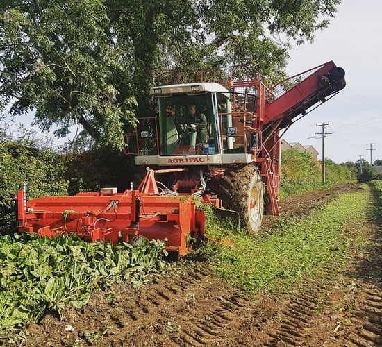 Self-propelled beet harvester in action at open event on Sunday