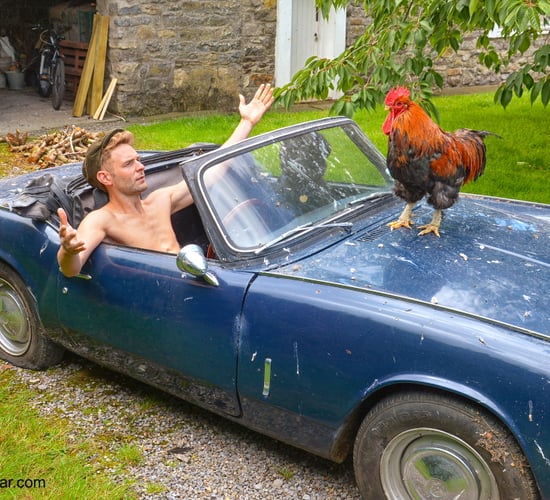Ireland's 'model' farmers bare almost all for calendar