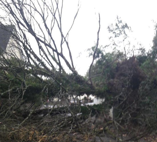 Ophelia: Milk collection services disrupted as the country braces for impact