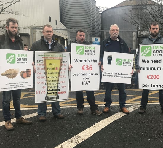 Grain growers frustrated at malting price that 'doesn't cut the mustard'