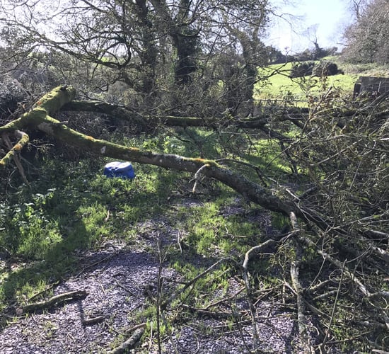 FBD to take €6 million hit following ex-hurricane Ophelia