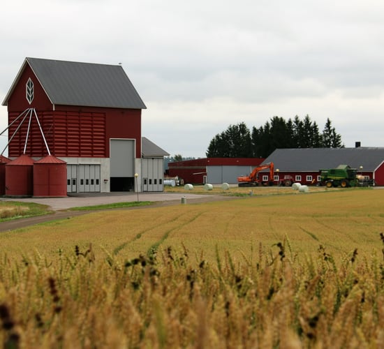 Cash crop farming: Why it doesn’t always pay to produce more