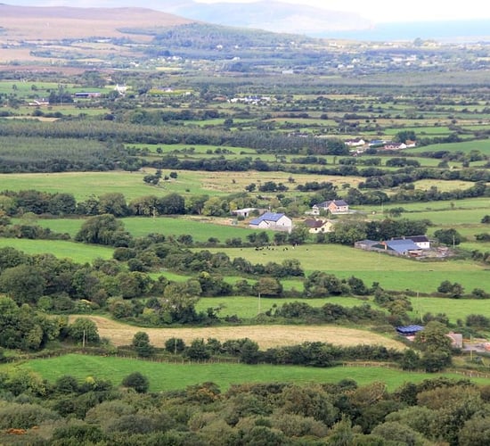 Farmers 'do not want housing estates' on land - Taoiseach
