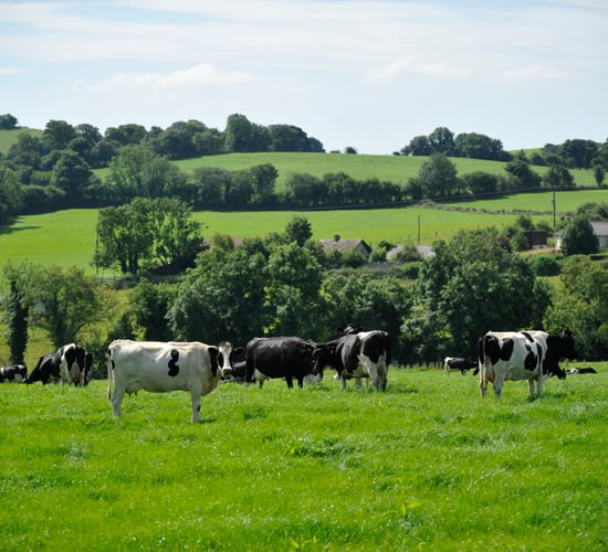 The clock is ticking until the 2019 Teagasc National Dairy Conference