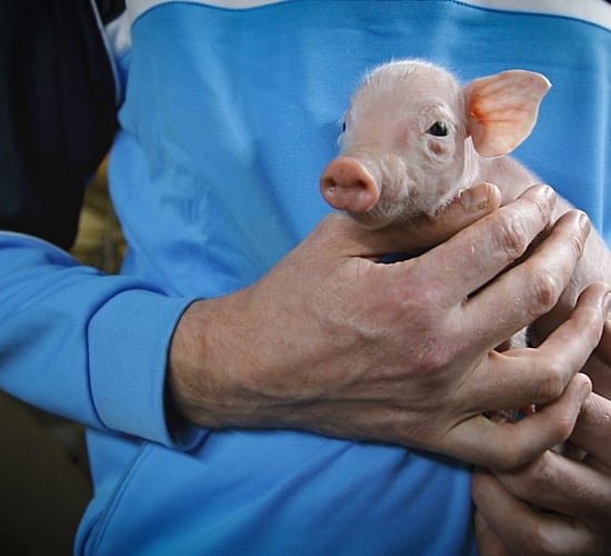 Progressive farmer focus: Taking the reins and doubling production in Co. Cavan