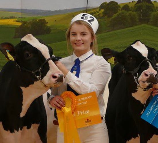 Northern Ireland Holstein breeders manage impressive All-Britain campaign