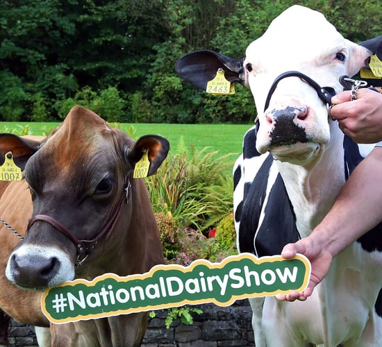 Celeb chef and rugby star 'line-out' for National Dairy Show 2017