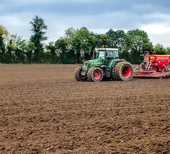 How much seed is available for each variety in 2018?