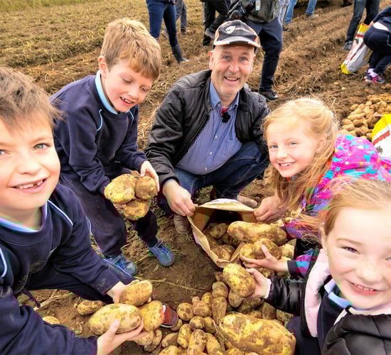 National Potato Day: Consumers urged to choose Irish potatoes