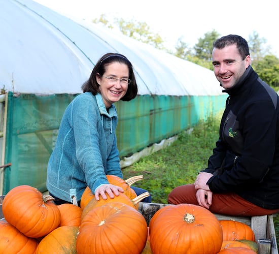 Dublin pumpkin grower carves out a busy lifestyle