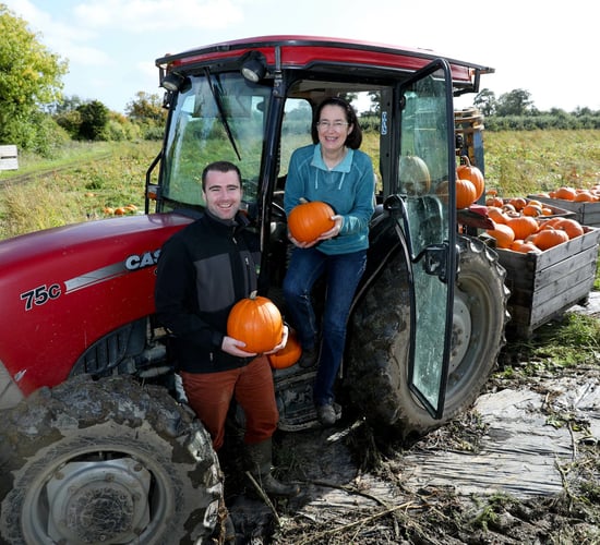 5 things anyone contemplating growing pumpkins needs to know