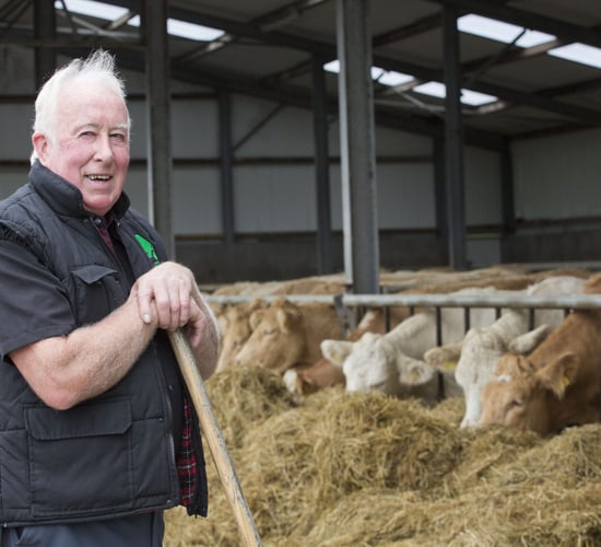 Progressive suckler farming in the heart of the Burren