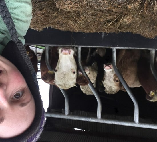 Waterford artist draws on farm life for inspiration