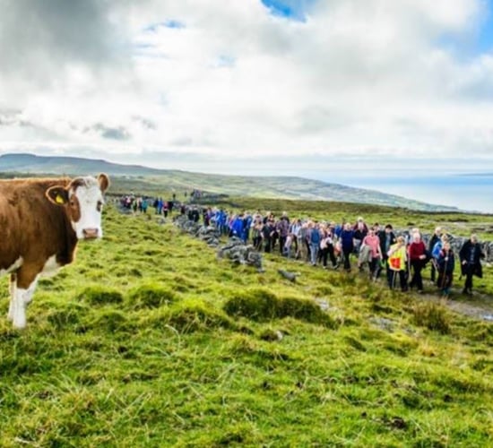 Visitor parking issue causing Burren farmers 'undue hardship'